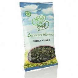 ORTIGA BLANCA PLANTA HERBES MOLI