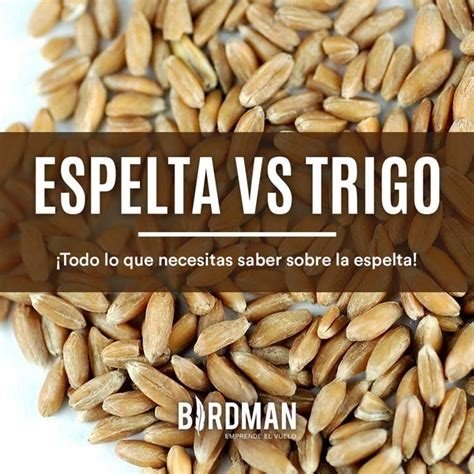 PULGUITAS DE ESPELTA BIOPANACEA