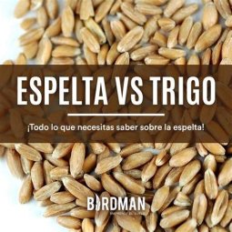 PULGUITAS DE ESPELTA BIOPANACEA