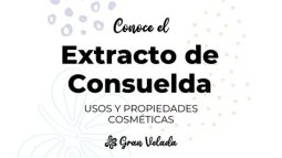 EXTRACTO DE CONSUELDA 250ML  GRAN VELADA