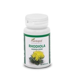 RHODIOLA PLANTAPOL 48 CAPSULAS