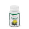 RHODIOLA PLANTAPOL 48 CAPSULAS