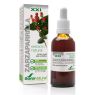 EXTRACTO ZARZAPARRILLA GOTAS SORIA NATURAL 50 ML