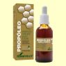 EXTRACTO PROPOLEO ALCOHOLICO  50 ML SORIA NATURAL