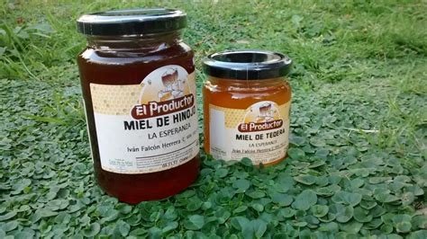MIEL DE HINOJO EL PRODUCTOR