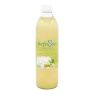 KEFIRSAN JENGIBRE Y LAVANDA 500ML BIONSAN