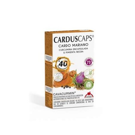 CARDUS 60 CAPSULAS INTERSA