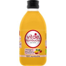 KOMBUCHA MANGO FRESA VITAE
