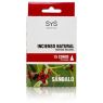 CONOS SANDALO SYS