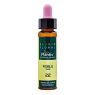 PLANTIS N.22 ROBLE 10ML