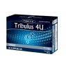 TRIBULUS 4U TEREZIA 10 CAPSULAS