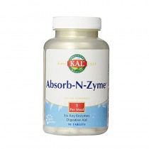 ABSORB-N-ZYME - 90 comprimidos