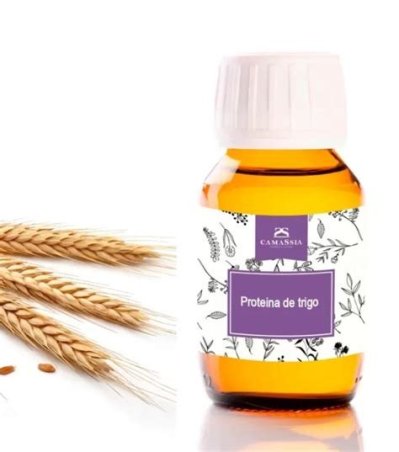 PROTEINA DE TRIGO CAMASSIA 250 ML