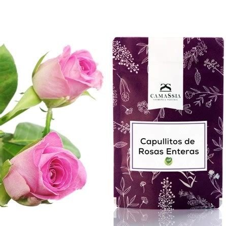 CAPULLITOS DE ROSAS ENTERAS CAMASSIA