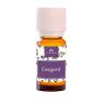 CONSERVANTE COSGARD 221 10ML. CAMASSIA