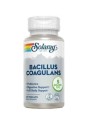 BACILLUS COAGULANS 60CAPS SOLARAY