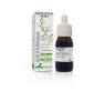 ARTEMISA PLANTA SORIA NATURAL