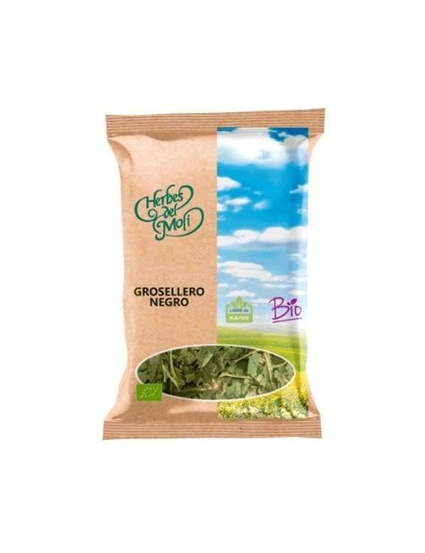 GROSELLERO NEGRO PLANTA HERBES DEL MOLI