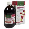 ARANDANO ROJO CONCENTRADO 490ML SANTIVERI