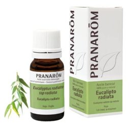 ESENCIA EUCALIPTO RADIATA BIO PRANAROM