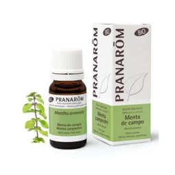 ESENCIA MENTA DE CAMPO 10 ML. BIO PRANAROM
