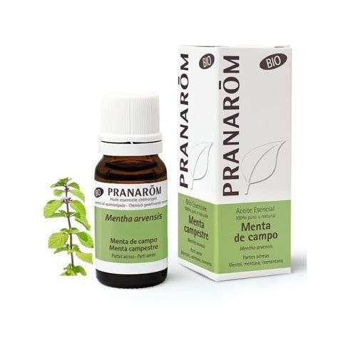 ESENCIA MENTA DE CAMPO 10 ML. BIO PRANAROM