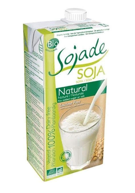 BEBIDA SOJA NATURAL BIO