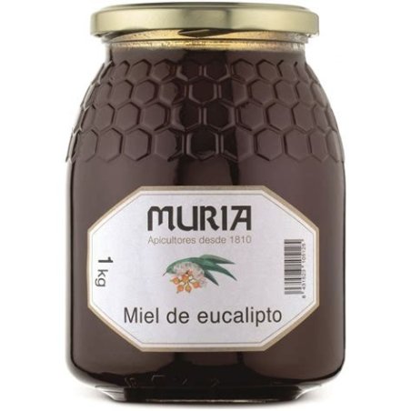 MIEL DE EUCALIPTO 1 KG APINATURA