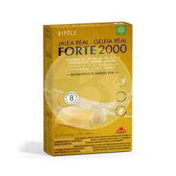 JALEA REAL FORTE 2000 20AMP INTERSA