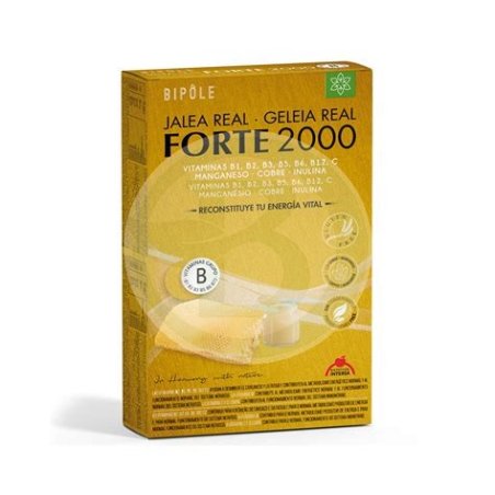 JALEA REAL FORTE 2000 20AMP INTERSA