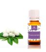 PROTEINA SEDA 50ML. CAMASSIA