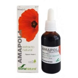 AMAPOLA PLANTA SORIA NATURAL