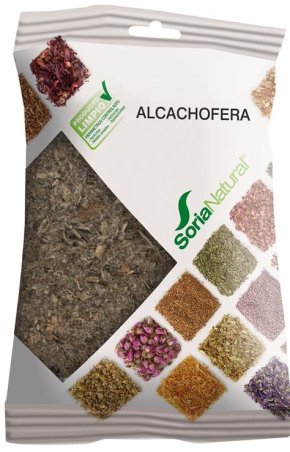 ALCACHOFERA PLANTAS EN BOLSA