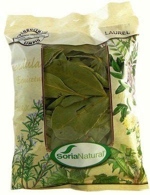 LAUREL PLANTA SORIA NATURAL