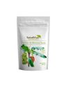 HARINA DE BANANAS VERDES SALUD VIVA 200 GR