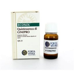 QUINA ECOSOL FORZA VITALE
