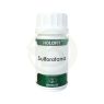 HOLOFIT SULFORAFANO 50CAPS - EQUISALUD