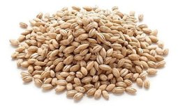 CEBADA PELADA 500 GR. L'EXQUISIT