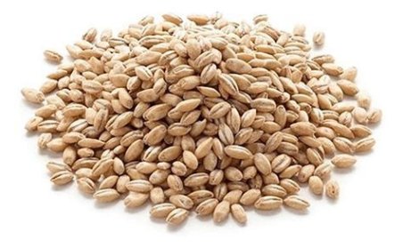 CEBADA PELADA 500 GR. L'EXQUISIT