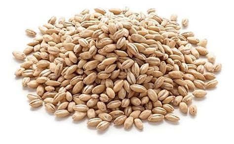 CEBADA PELADA 500 GR. L'EXQUISIT