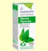 ACEITE ESENCIAL DE MENTA PIPERITA 10 ML ESSENTIAL AROMS