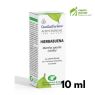 ACEITE ESENCIAL HIERBABUENA ESENTIAL AROMS 10 ML
