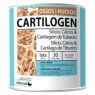 CARTILOGEN BOTE POLVO 450GR DIETMED