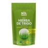HIERBA TRIGO POLVO BIO