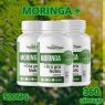 MORINGA 120 CAPSULAS CANARY ISLAND