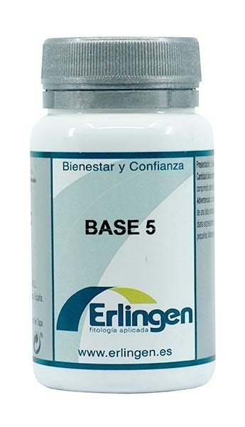 ERLINGEN BASE 5
