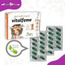 VITALFEME - PINISAN