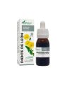 DIENTE DE LEON EXTRACTO GOTAS 50 ML SORIA NATURAL