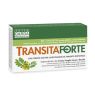 TRANSITA FORTE