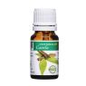 ACEITE ESENCIAL DE CANELA BIO 10 ML PLANTIS